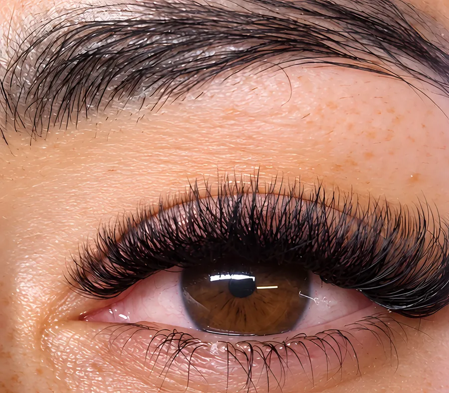 Volume 4D lashes on a brown eye